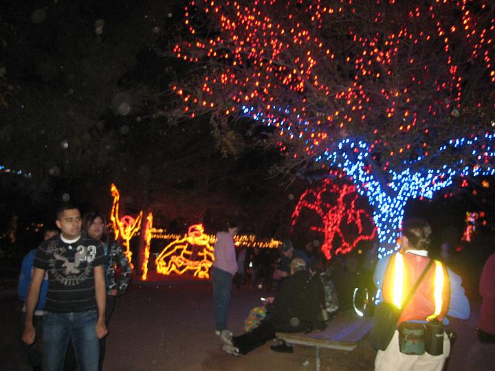 ZooLights 12.JPG